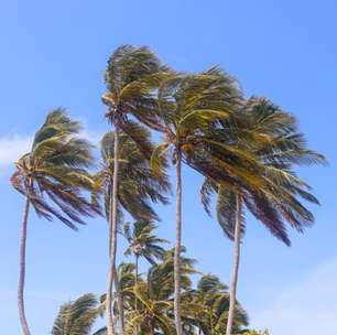 Novo ciclone extratropical se forma no continente e traz ventos fortes para o RS