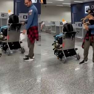 Cadelinha reconhece tutor e pula de alegria em aeroporto após 6 meses distante