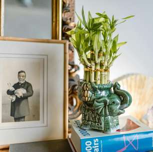 Feng Shui de Primavera: o que mudar na decoração de casa?