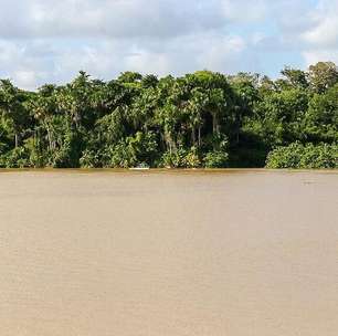 Sede da COP30, Brasil 'sabota' o evento ao apostar em petróleo na Amazônia e põe em risco líderança climática