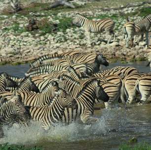 Namíbia tem um dos maiores parques naturais do mundo