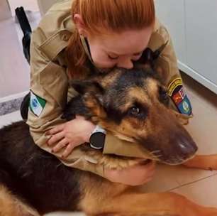 Adeus ao herói de quatro patas: Athos, cão policial da PM, é submetido à eutanásia e comove Cascavel; veja vídeo