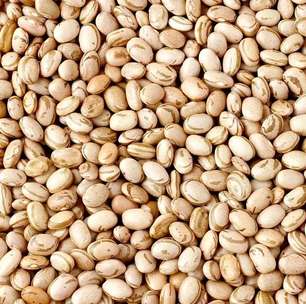 Feijão engorda? Conheça os benefícios desse alimento
