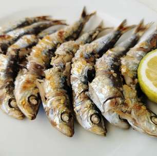 Sardinha ajuda a emagrecer? Conheça os benefícios desse peixe poderoso na dieta