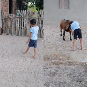Um 'pet' nada comum: amizade entre menino e bode conquista a internet