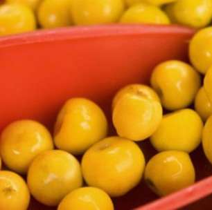 Você conhece o nanche? 6 motivos para incluir o fruto na sua dieta