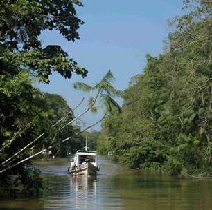 Ilha do chocolate amazônico terá roteiro turístico, durante a COP30