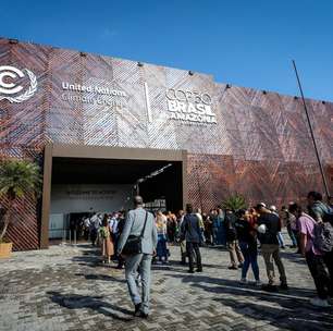 Mais de 50 países assinam declaração de fundo florestal em Belém