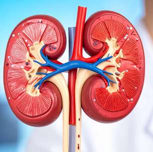 Doença renal é uma das principais causas de morte no mundo; entenda o impacto