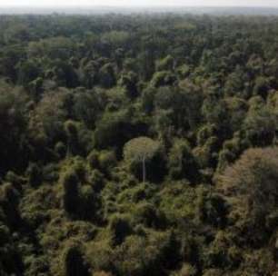 Etiópia Será Aprovada Como Sede da Cúpula Climática COP32 em 2027