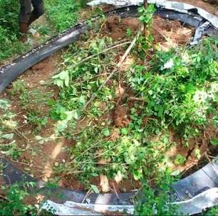 Pra quem não viu: 'Anel' de 500 kg cai do espaço em cima de um vilarejo no Quênia