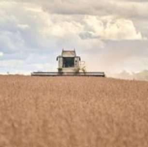 Novas Regras para Vale-Alimentação Podem Gerar Economia Anual de R$ 8 Bi