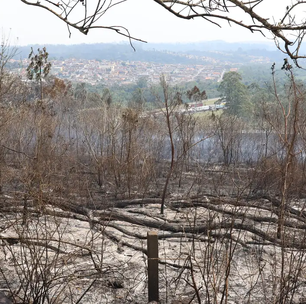 Atlas reforça que periferias são as maiores vítimas da crise climática na América Latina