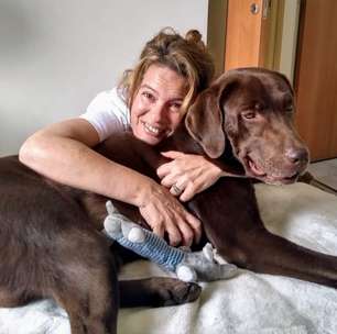 Bradesco deve indenizar mulher em R$ 25 mil por morte de cão intoxicado por planta tóxica em calçada