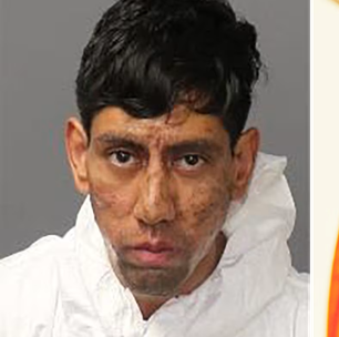 Suspeito de duplo homicídio diz que recebeu ordem de barata para cometer o crime