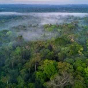 Google Investe US$ 40 Bi Para Ampliar Data Centers No Texas