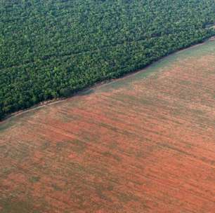 Bancos franceses voltam a ser acusados por ONGs de financiar o desmatamento na Amazônia