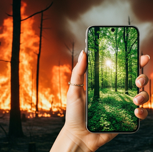 COP da Amazônia catalisou soluções, mas Brasil ainda lida com devastação e excesso de desinformação climática