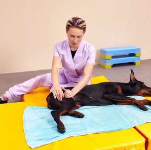 Fisioterapia para animais: conheça as opções e os benefícios