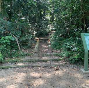 Homem morre após cair de topo de pico no Parque Nacional Tijuca no RJ