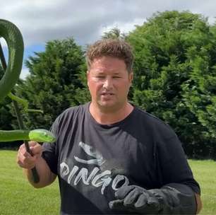Mamba-verde mata youtuber que filmava a cobra