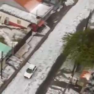 Vídeos: chuva de granizo em Ponta Grossa deixa ruas e telhados parecendo estar 'cobertos de neve'
