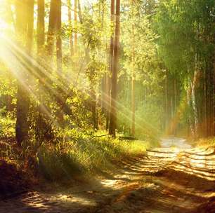 Cartas do dia: Entenda o que pode haver por trás das sombras e busque estabilidade