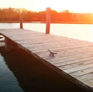 Mexilhão-Zebra: Por que ele assusta cientistas e governos