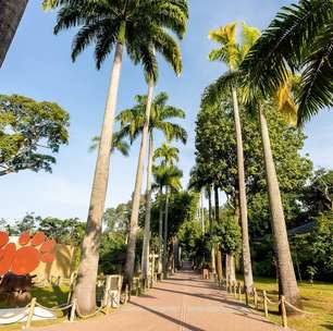 BioParque do Rio encerra Black Friday com oficinas e experiência Zookeeper Kids