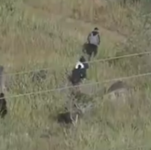 Bandidos armados com fuzis fogem em trilha durante operação da PM contra barricadas no Rio