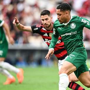 Palmeiras e Flamengo na final da Libertadores: veja onde assistir!