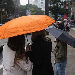 Defesa Civil de SP faz alerta para chuvas fortes, rajadas de vento e raios no Estado; veja onde