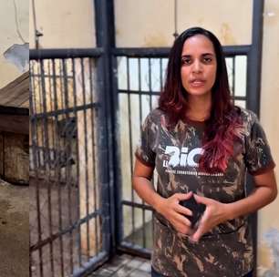 Bióloga atualiza estado de saúde de leoa após incidente em zoológico de João Pessoa: 'Está muito bem'