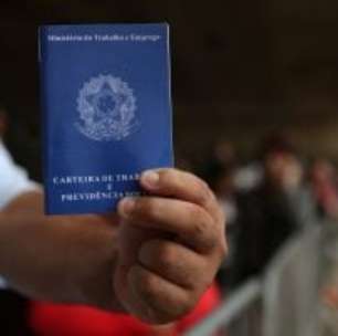 Recorde de Ocupação: 1 em Cada 4 Idosos Trabalhava em 2024