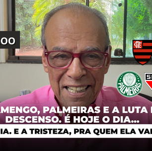 Flamengo, Palmeiras e a luta do descenso. É hoje o dia... da alegria. E a tristeza, pra quem ela vai chegar?