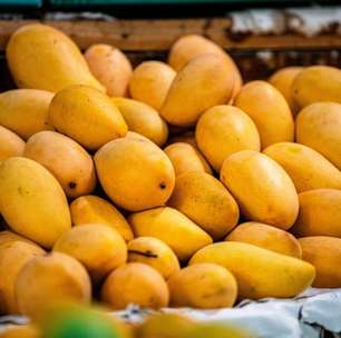 Popular e saborosa, manga aumenta imunidade e combate inflamações