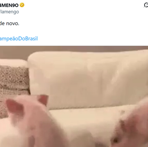 'Vice de novo': Flamengo zoa Palmeiras após conquista antecipada do Brasileirão