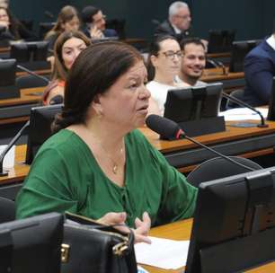 CCJ da Câmara dos Deputados aprova revogação da Lei da Alienação Parental