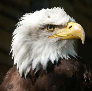 EUA confirmam que empresas de criptomoedas foram sufocadas durante governo Biden