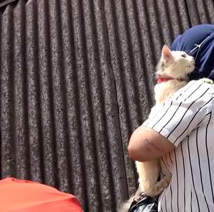 Gata é resgatada viva dos escombros após desabamento causado por enchentes na Indonésia