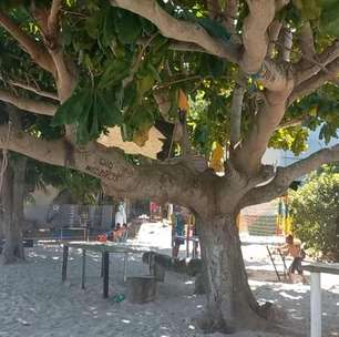 A "Praia" de São Gonçalo (RJ): Descubra a Ilha de Jurubaíba e suas curiosidades