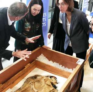 França devolve fósseis de dinossauros contrabandeados da Mongólia