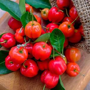 Saiba por que a árvore acerola é perfeita para quem quer frutas no quintal