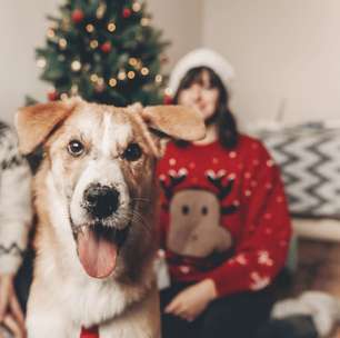8 dicas para preparar o pet para receber visitas no Natal
