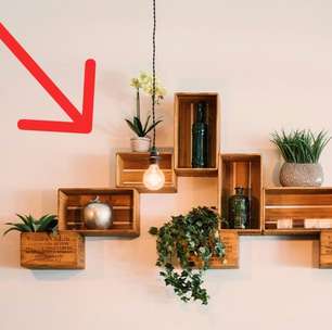 Se suas plantas não recebem luz natural, existe uma forma simples e barata de resolver isso