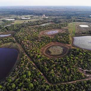 Obras para proteger a fauna do Pantanal começam na BR-262