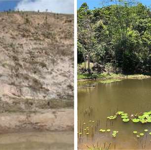 Brasileiro é premiado por reflorestar áreas degradadas