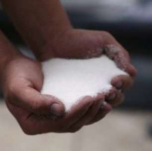 Produção de Carne Bovina do Brasil Avança 6,5% no 3º Tri; Abates São Recordes Também em Frangos e Suínos