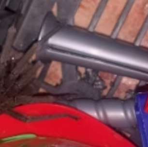 Aranha em caixa de brinquedos ataca criança: saiba evitar aranhas em casa