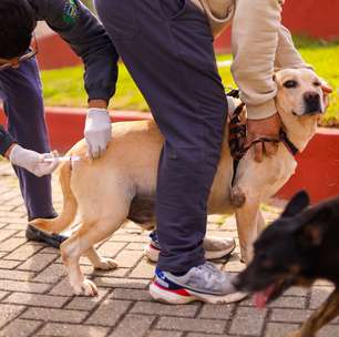Guararema aplica vacina antirrábica em dois bairros nesta sexta